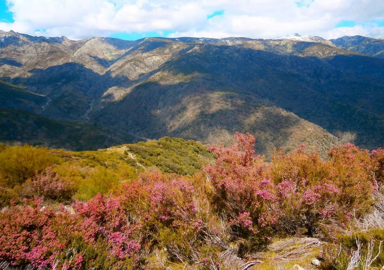 Appartamento Casa Sebastiana Losar De La Vera Esterno foto