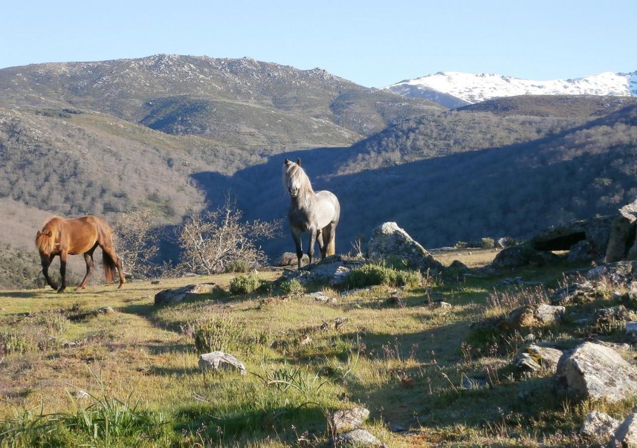 Appartamento Casa Sebastiana Losar De La Vera Esterno foto