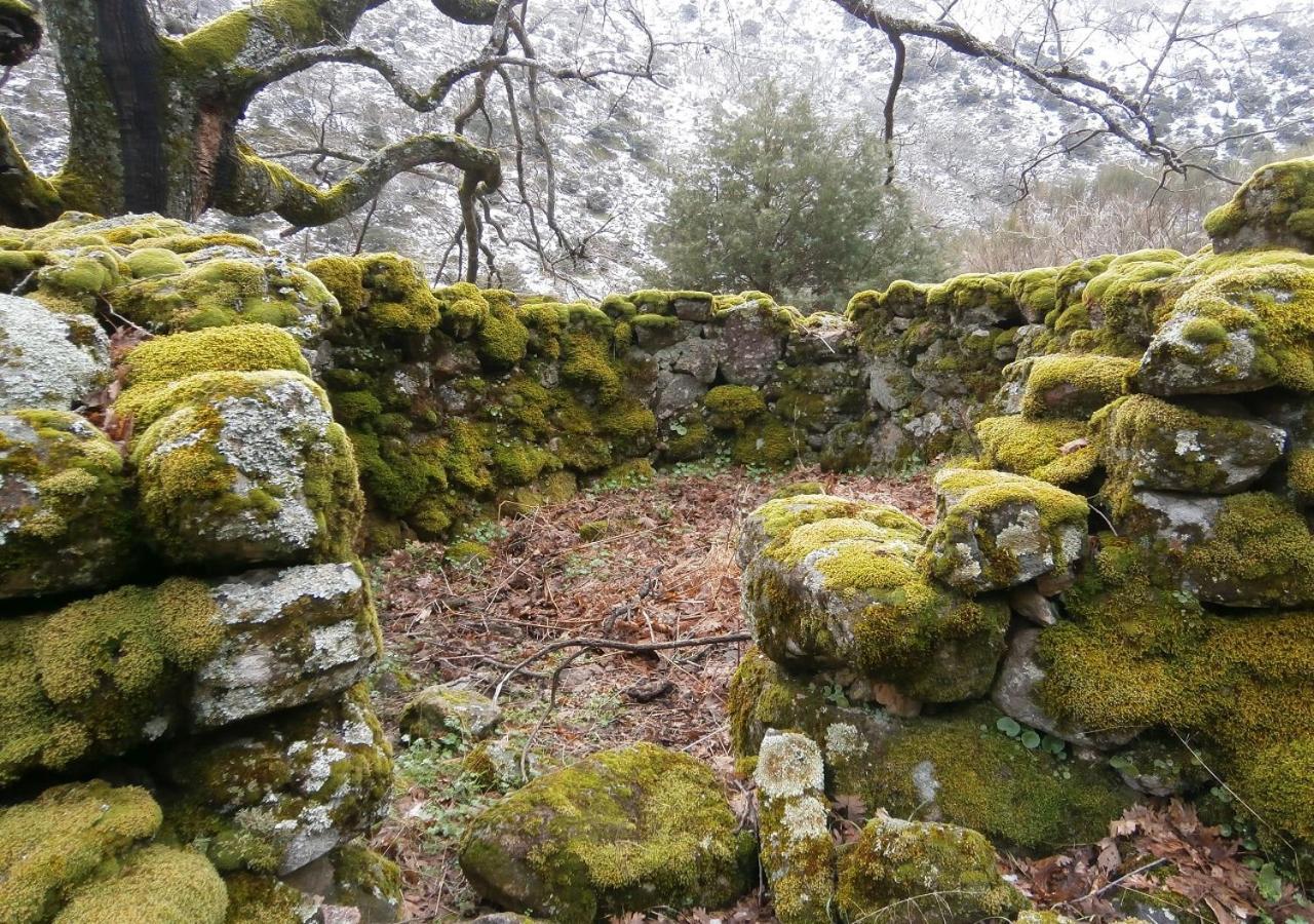 Appartamento Casa Sebastiana Losar De La Vera Esterno foto
