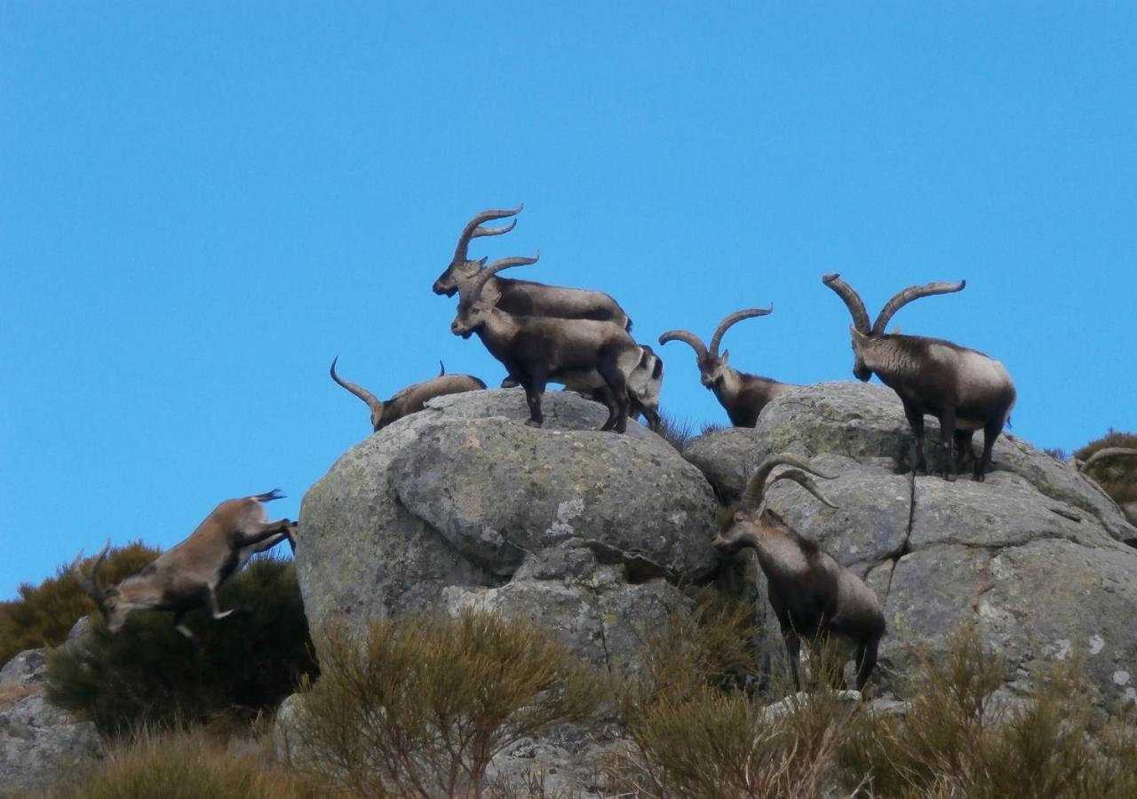 Appartamento Casa Sebastiana Losar De La Vera Esterno foto